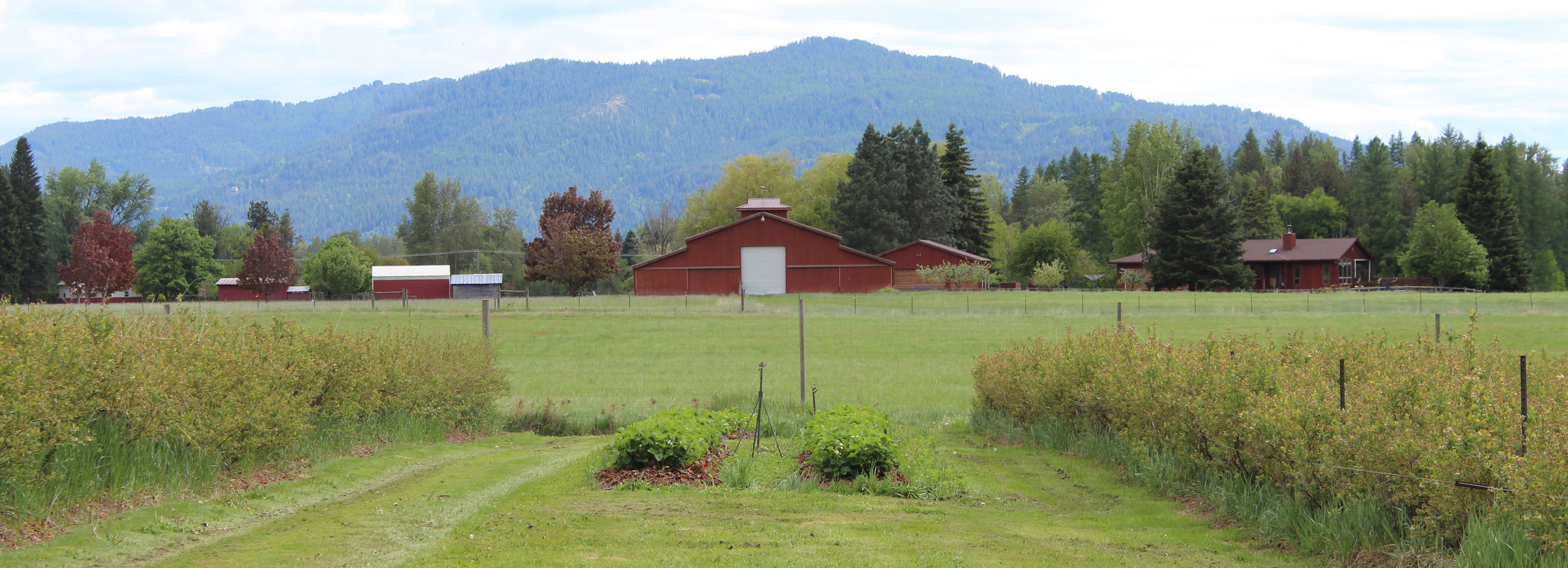 Idaho Farm Bureau Federation
